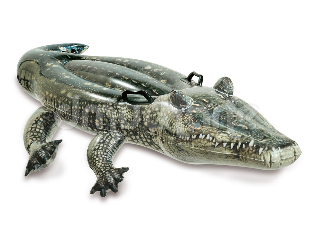 Aligator dmuchany materac zabawka do pływania  Intex 57551
